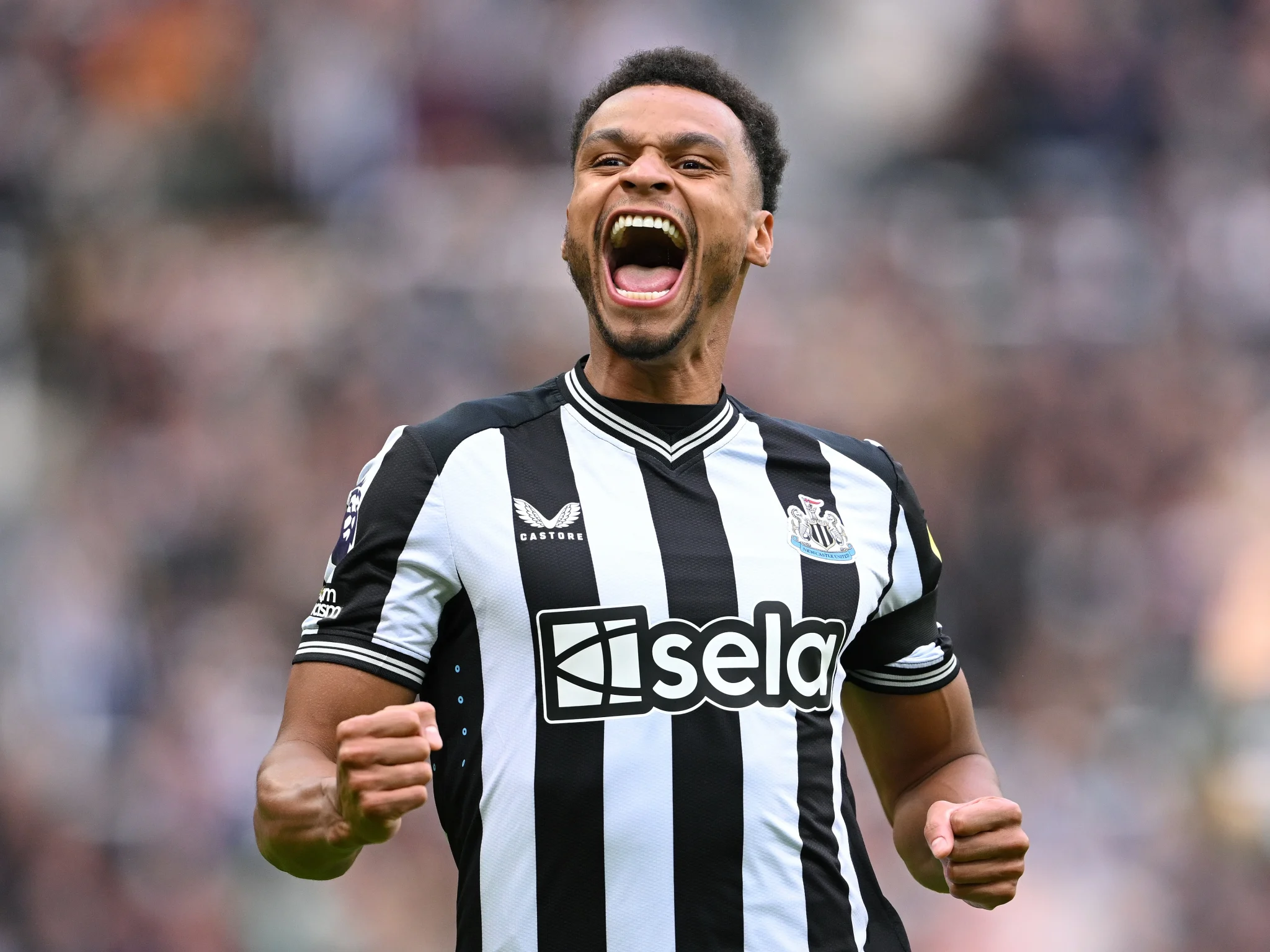 Play For Super Eagles – Chelle In Contact With 29 Year Old Newcastle United Forward