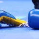 Japanese Boxer Kotari Dies At 28 After Fight
