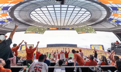 Sports fans cheering in a stadium, representing the global sports market and fan culture.