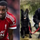 Alexander Isak Training With Liverpool And A Guard Dog Beside Him